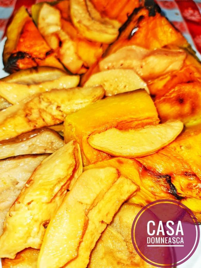 巴亚德菲耶尔Casa Domneasca别墅 外观 照片