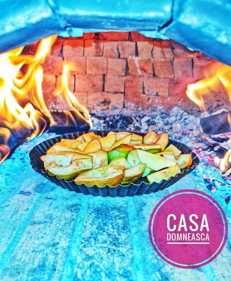 巴亚德菲耶尔Casa Domneasca别墅 外观 照片