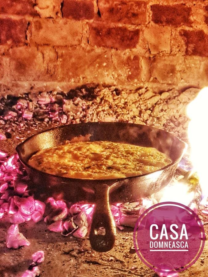 巴亚德菲耶尔Casa Domneasca别墅 外观 照片