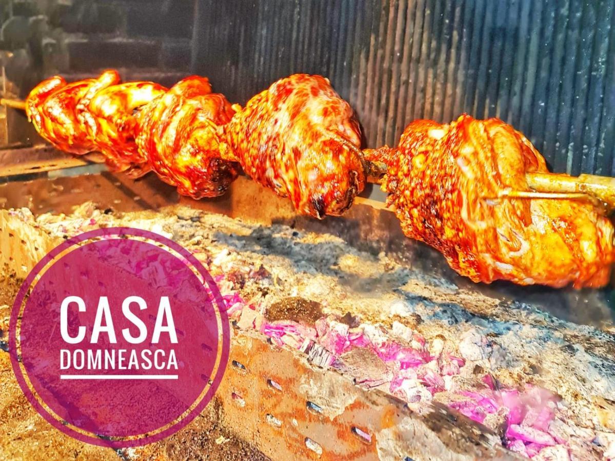 巴亚德菲耶尔Casa Domneasca别墅 外观 照片