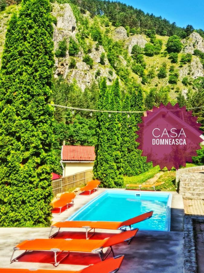 巴亚德菲耶尔Casa Domneasca别墅 外观 照片